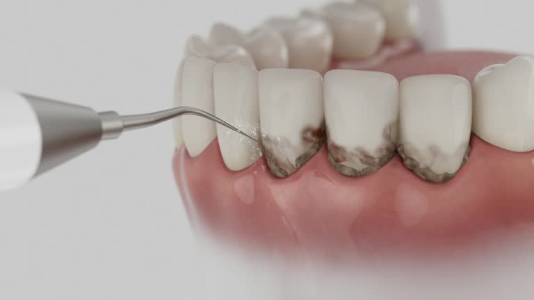 Reliable Dental contractor in Sheridan, IL by Dentist Open Now